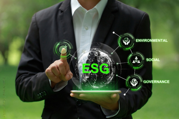ESG Management Consulting