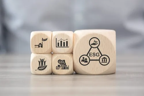 ESG Consultancy Services